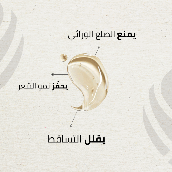 WEBSITE.zip 38