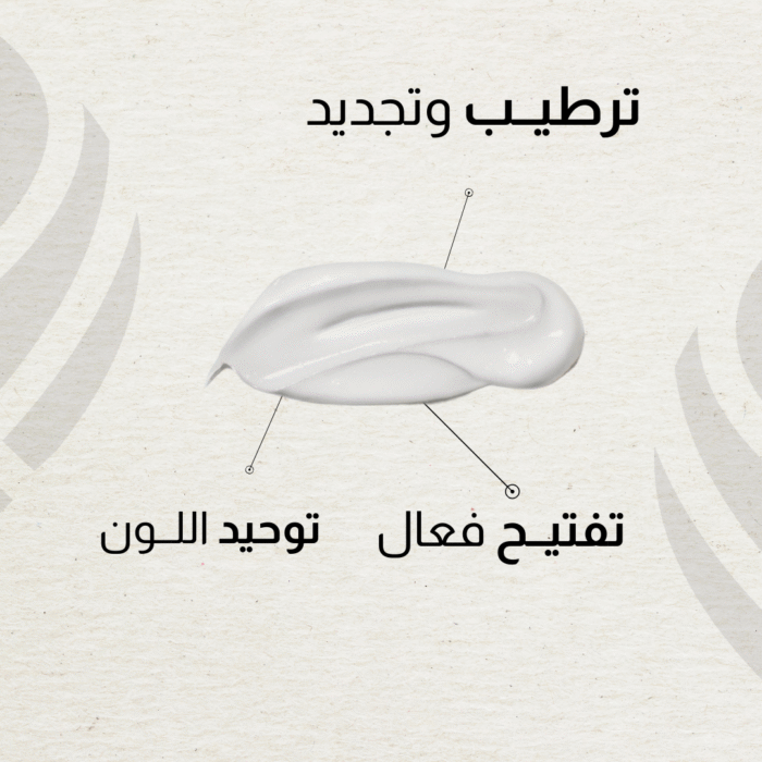 WEBSITE.zip 50